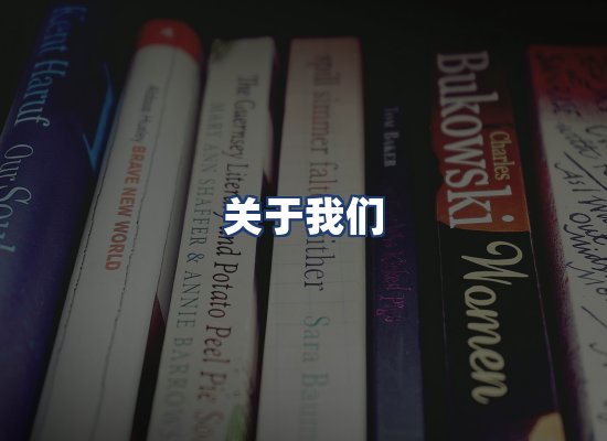 关于我们